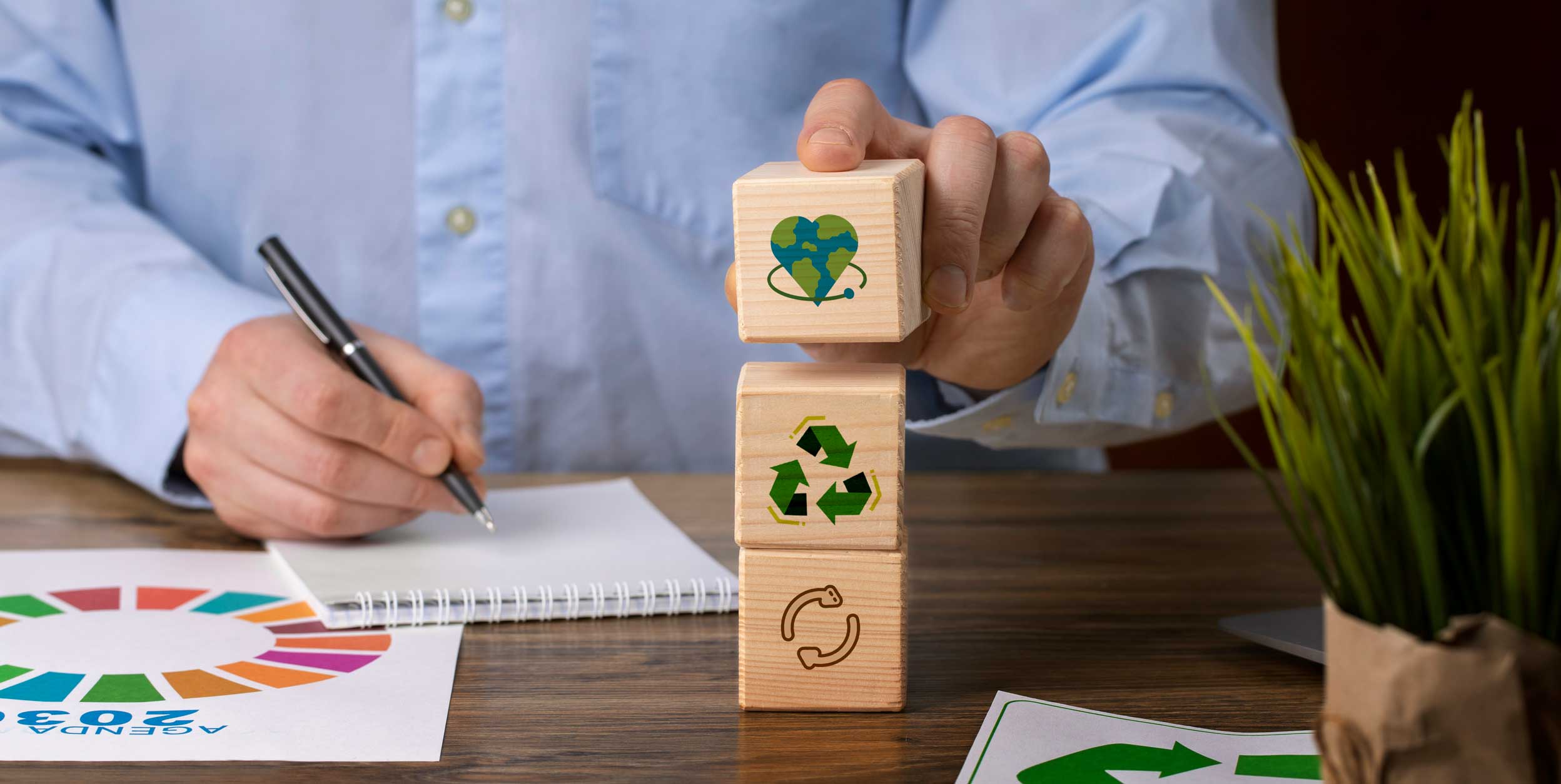 Sustentabilidad en Sonora, ¿moda o cambio real para el futuro?