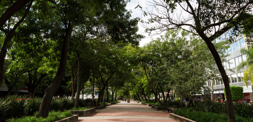 Espacios-públicos-en-Sonora