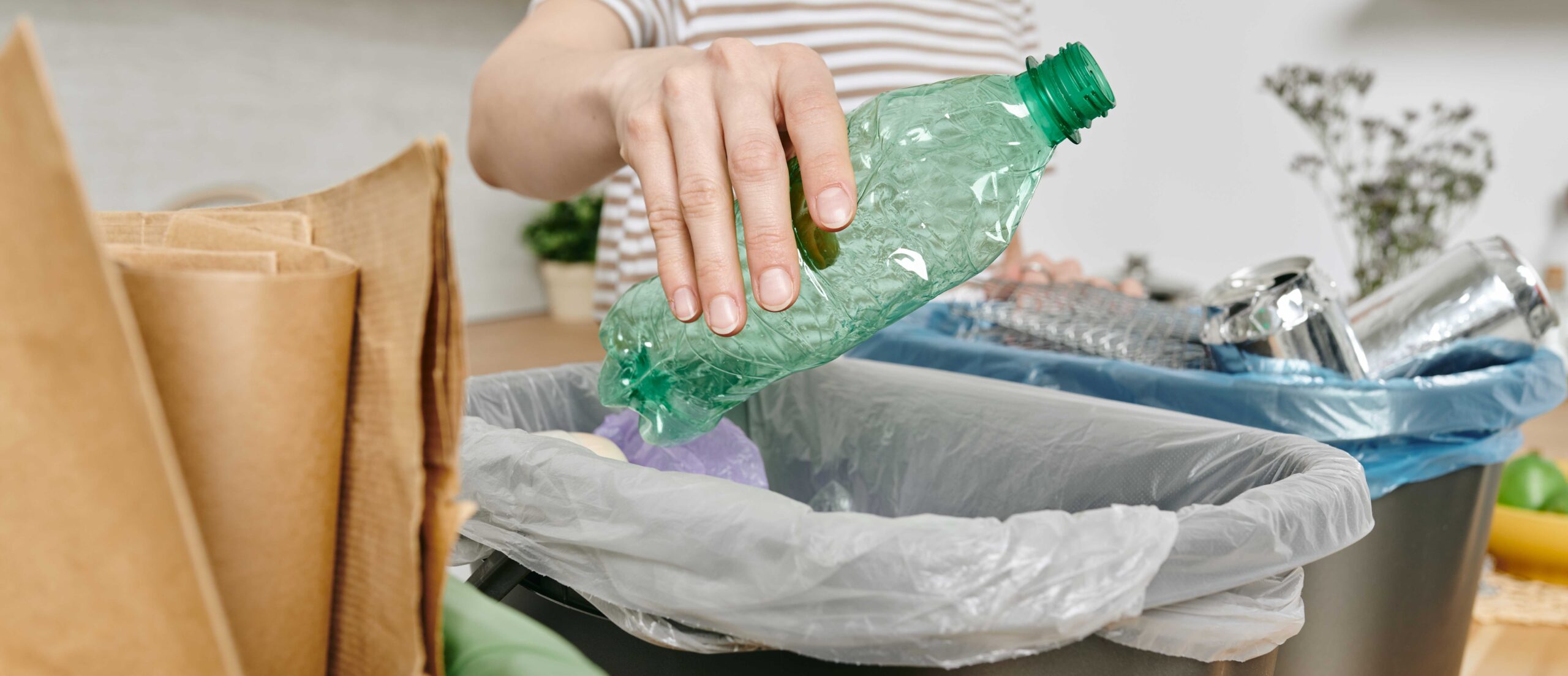 Guía básica para reciclar en casa sin complicarte