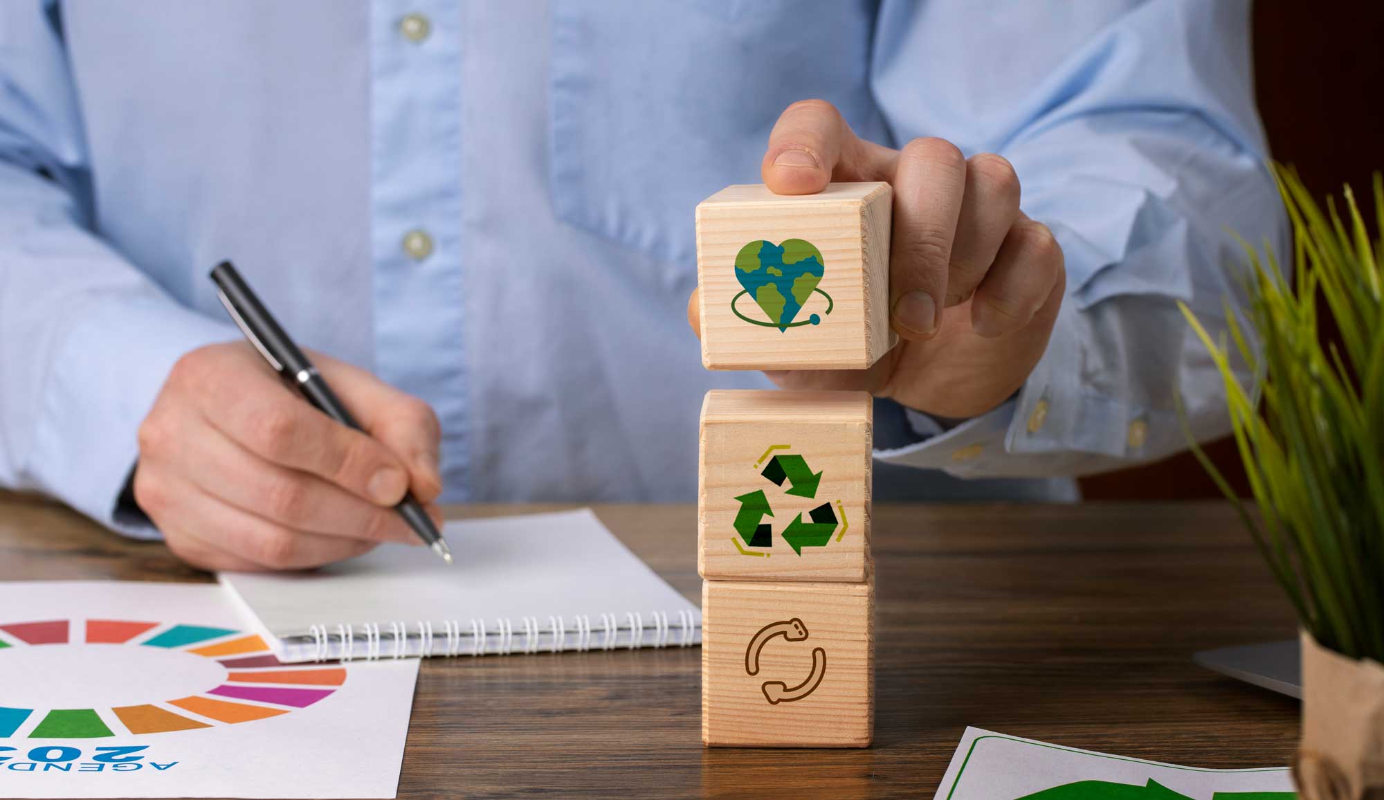 Conoce las carreras universitarias relacionadas con sustentabilidad en Sonora y dónde estudiarlas.